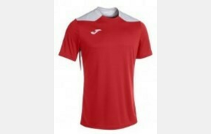 T-Shirts ROUGE